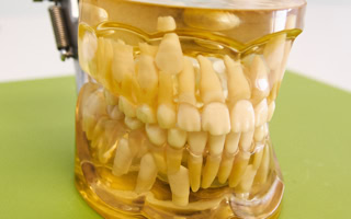 Blick in die Praxis 9